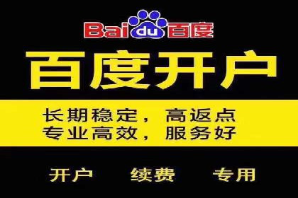 百度广告推广费用案例分析：效果与投入的平衡